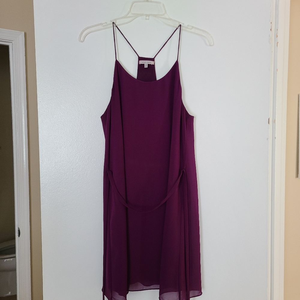 Naked Zebra Mini Dress